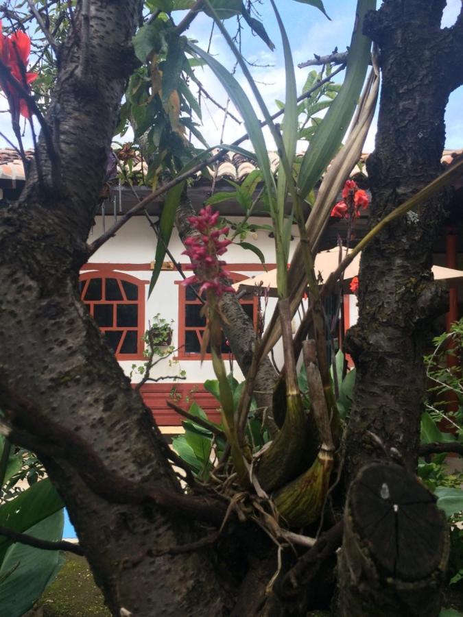 Albergue La Chulada San Cristóbal de Las Casas Habitación foto