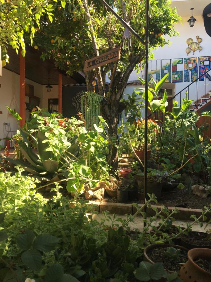 Albergue La Chulada San Cristóbal de Las Casas Exterior foto